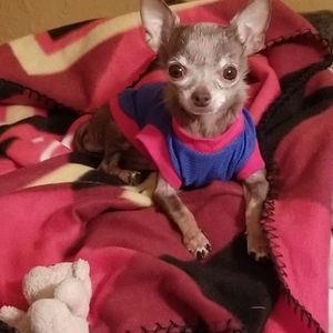 Meet your Posher, Imelda